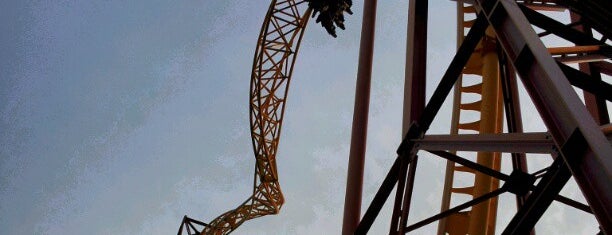 X-Coaster is one of ROLLER COASTERS 4.