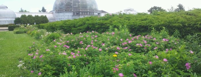 Anna Scripps Whitcomb Conservatory is one of The 15 Best Places for Exhibits in Detroit.