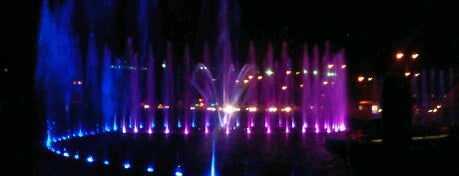Multimedia Fountain Park is one of Wsw.