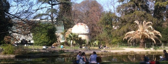 Jardin des Plantes is one of Montpellier.
