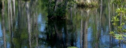 Cypress Gardens is one of Charleston Area List.