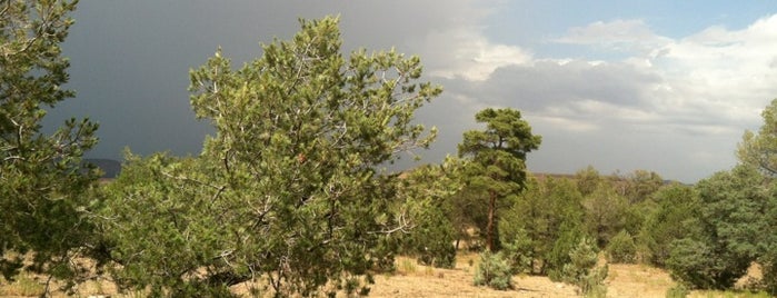 Gila National Forest is one of National Recreation Areas.