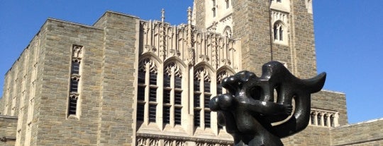 Princeton University is one of The Ivy League.