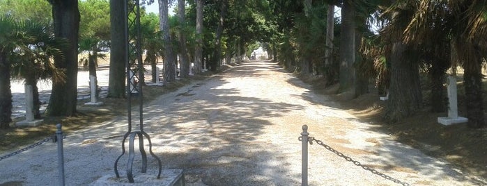 Cimitero comunale is one of Tutto Castelleone di Suasa.
