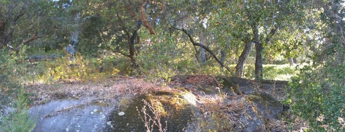 Avila Hot Springs Resort is one of San Luis Obispo.