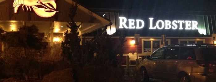 Red Lobster is one of Lieux qui ont plu à Lynn.