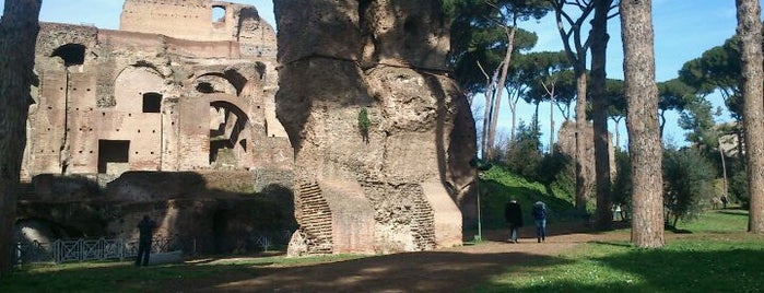 Palatino is one of Rome.