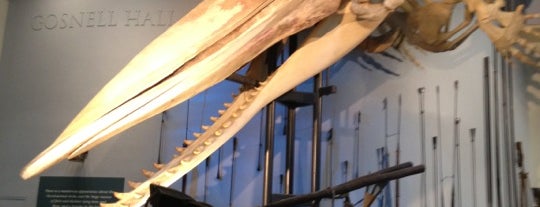 The Whaling Museum is one of (US&A).