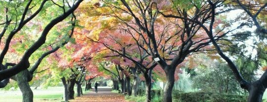 小石川植物園 is one of お散歩マップ.