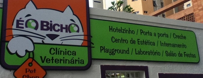 É O Bicho (Clínica Veterinária e Hotel) is one of Negocios.