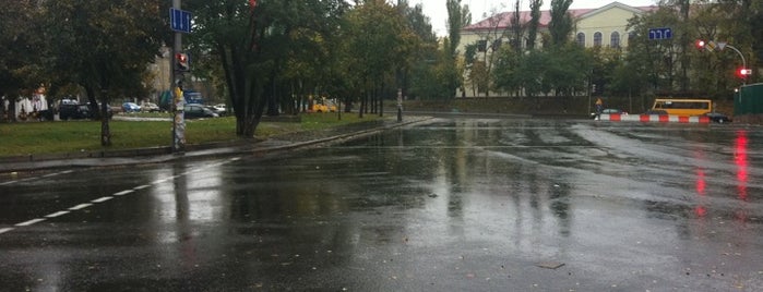 Vasylkivska Square is one of Площади города Киева.
