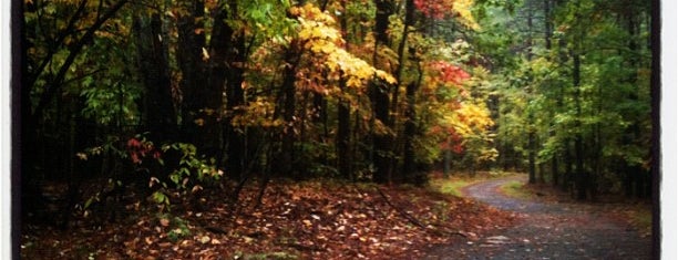 Carolina North Forest is one of Lugares favoritos de Emily.
