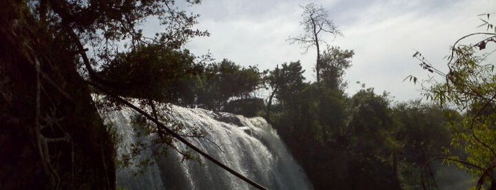 Elephant Waterfall (Thác Voi) is one of Đà Lạt.