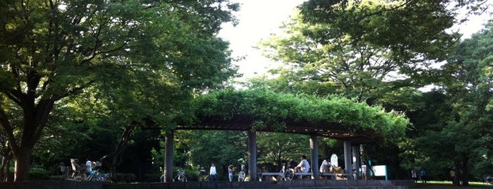 Soshigaya Park is one of 東京都立の公園・庭園.