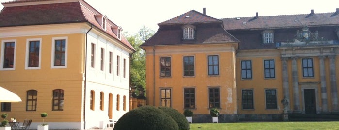 Schloss Mosigkau is one of Museen in Sachsen-Anhalt.