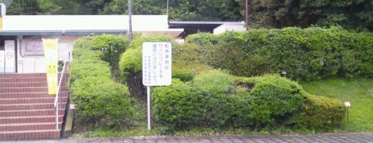 虎渓山PA (上り) is one of 中央自動車道.