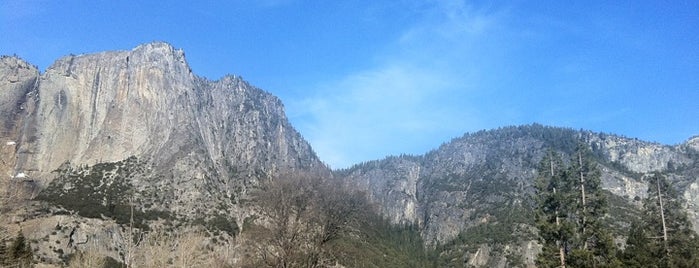 Yosemite National Park is one of Visit the National Parks.