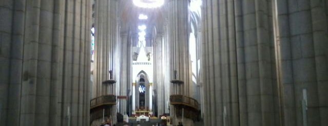 Catedral da Sé is one of Preferidos São Paulo.
