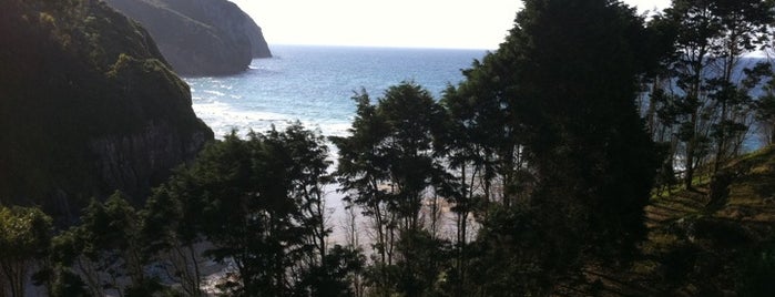 Playa de Vidiago / Novales is one of Playas del Principado de Asturias.