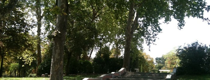 Parque del Retiro is one of 101 sitios que ver en Madrid antes de morir.