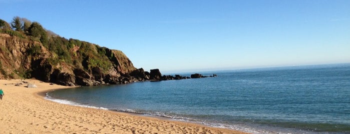Blackpool Sands is one of Devon.