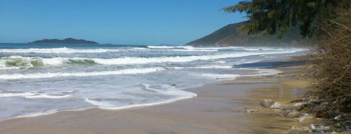 Praia dos Açores is one of Top picks for Beaches.