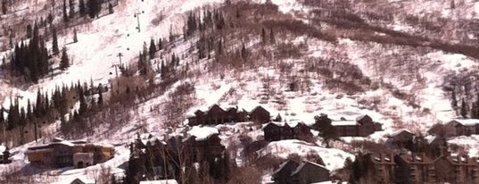Steamboat Resort is one of Izzy's CO Ski Areas.