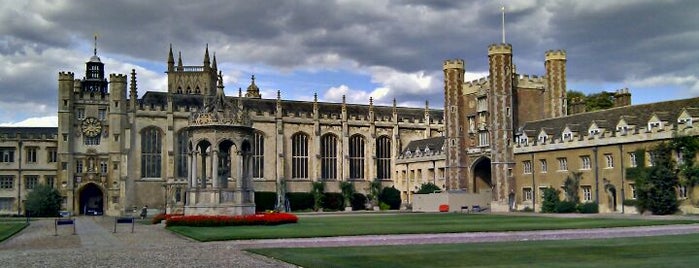 Trinity College is one of Cambridge University colleges.