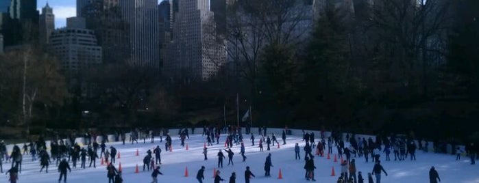 Wollman Rink is one of Three Jane's Guide to New York City.