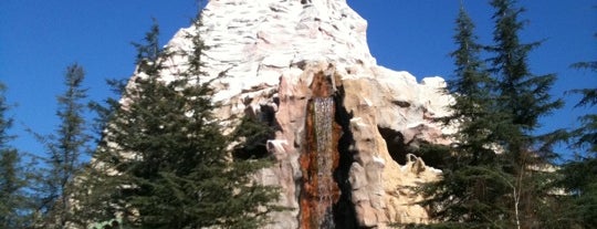 Matterhorn Bobsleds is one of Must-visit Attractions at the Disneyland Resort.