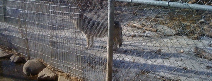 Carlos Avery Wildlife Refuge is one of Lugares favoritos de LoneStar.