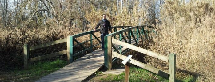 Parc de la Mitjana is one of Visit Lleida.