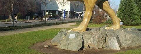 Museo Senckenberg de Historia Natural is one of To do when being one week at Uni Frankfurt.