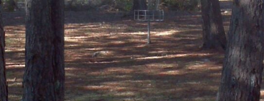 Carl Yearwood Disc Golf Course is one of Disc Golf Courses.