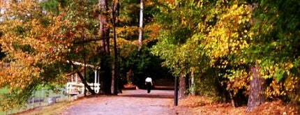 Roswell Area Park is one of nannyness{atlanta}.