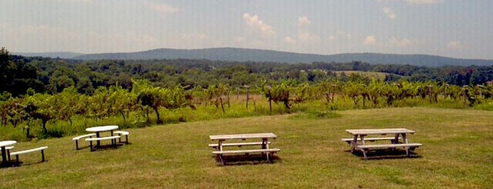 Loudoun Valley Vineyards is one of Day Trips from DC.