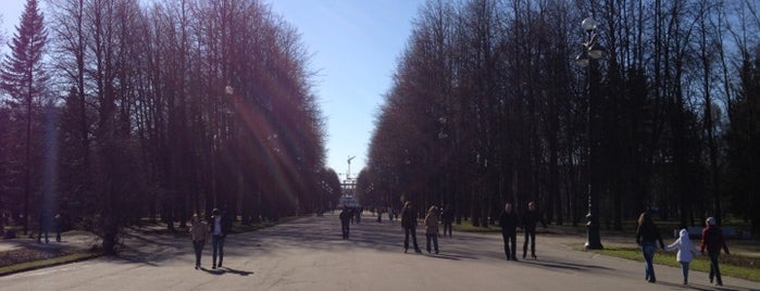 Приморский парк Победы is one of Мой Петербург.