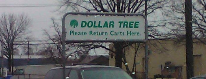 Dollar Tree is one of shopping.