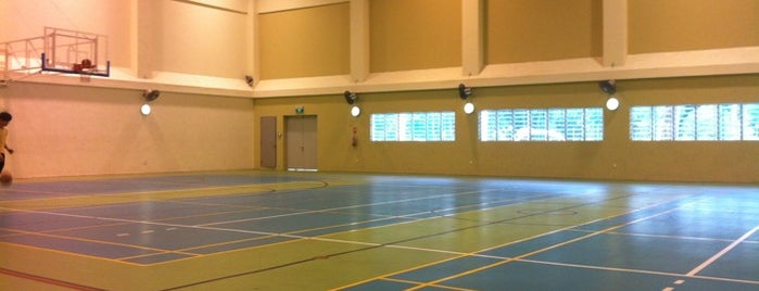 Peirce Secondary School Indoor Sport Hall is one of Badminton.