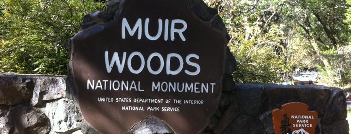 Muir Woods National Monument is one of San Francisco Must Do's.