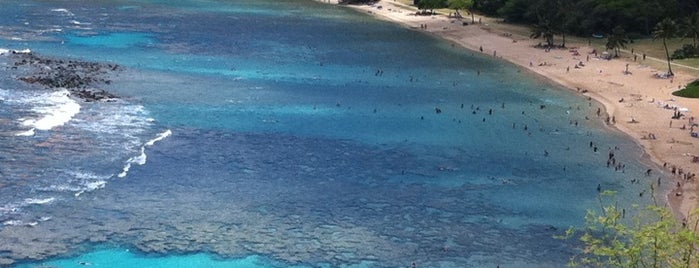 Hanauma Bay Nature Preserve is one of Not For Tourists Hawaii.