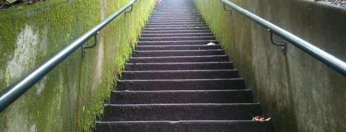 Summit Stairs is one of Check It Out - Portland.