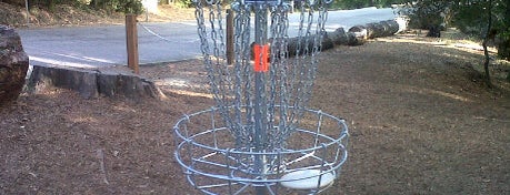 Top Picks for Disc Golf Courses