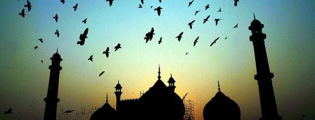 Jama Masjid  |जामा मस्जिद | جامع مسجد is one of India.