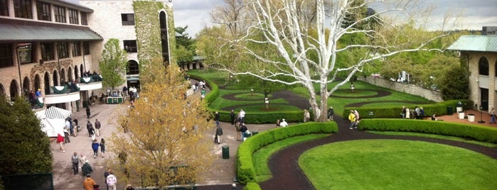 Keeneland is one of Best Places to Check out in United States Pt 2.