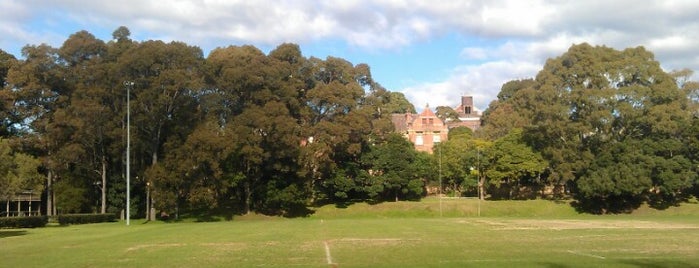 Bosch Commons is one of University of Sydney Library.