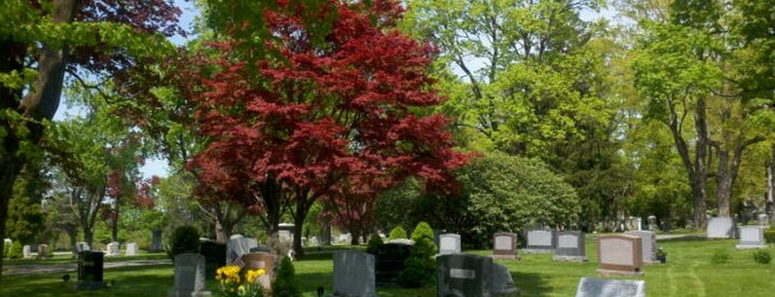 Shrewsbury Parks & Cemetery