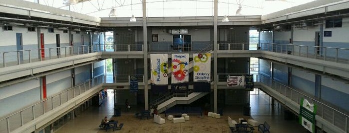 Universidad TECMilenio campus Culiacán is one of Tempat yang Disukai kArE.