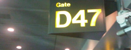 Gate D47 is one of SIN Airport Gates.