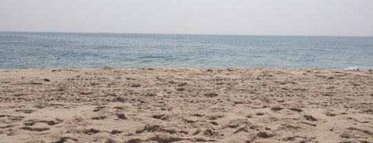 Lavallette Beach is one of Julie's things to do.